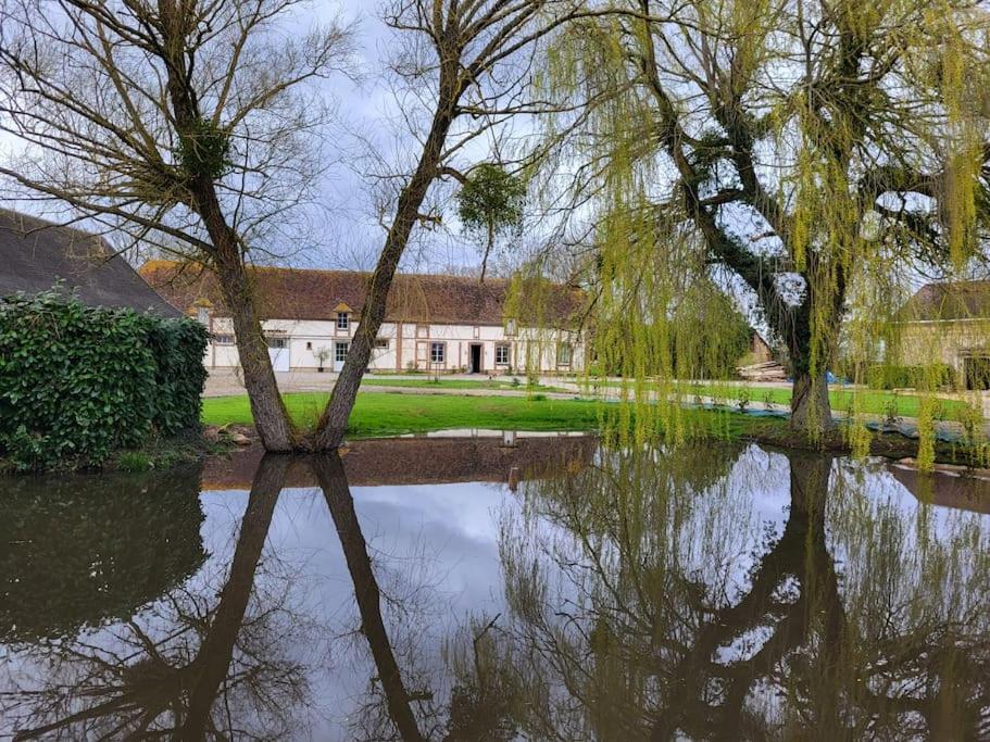 Les Barils Gite Au Haras D'Agathe Et Ses Princes מראה חיצוני תמונה